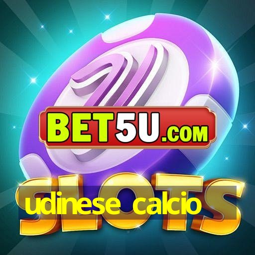 udinese calcio